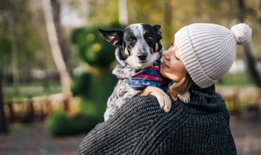 Best Summer Activities for Dog Owners