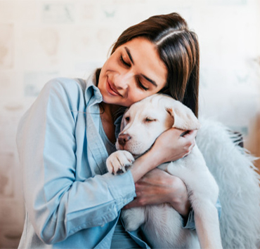 Tips and tricks: Puppy’s First Grooming