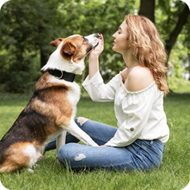 Cat Health – Keeping Them Purr-fect 