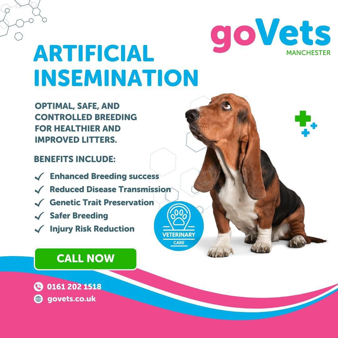 Canine Fertility Services | GoVets