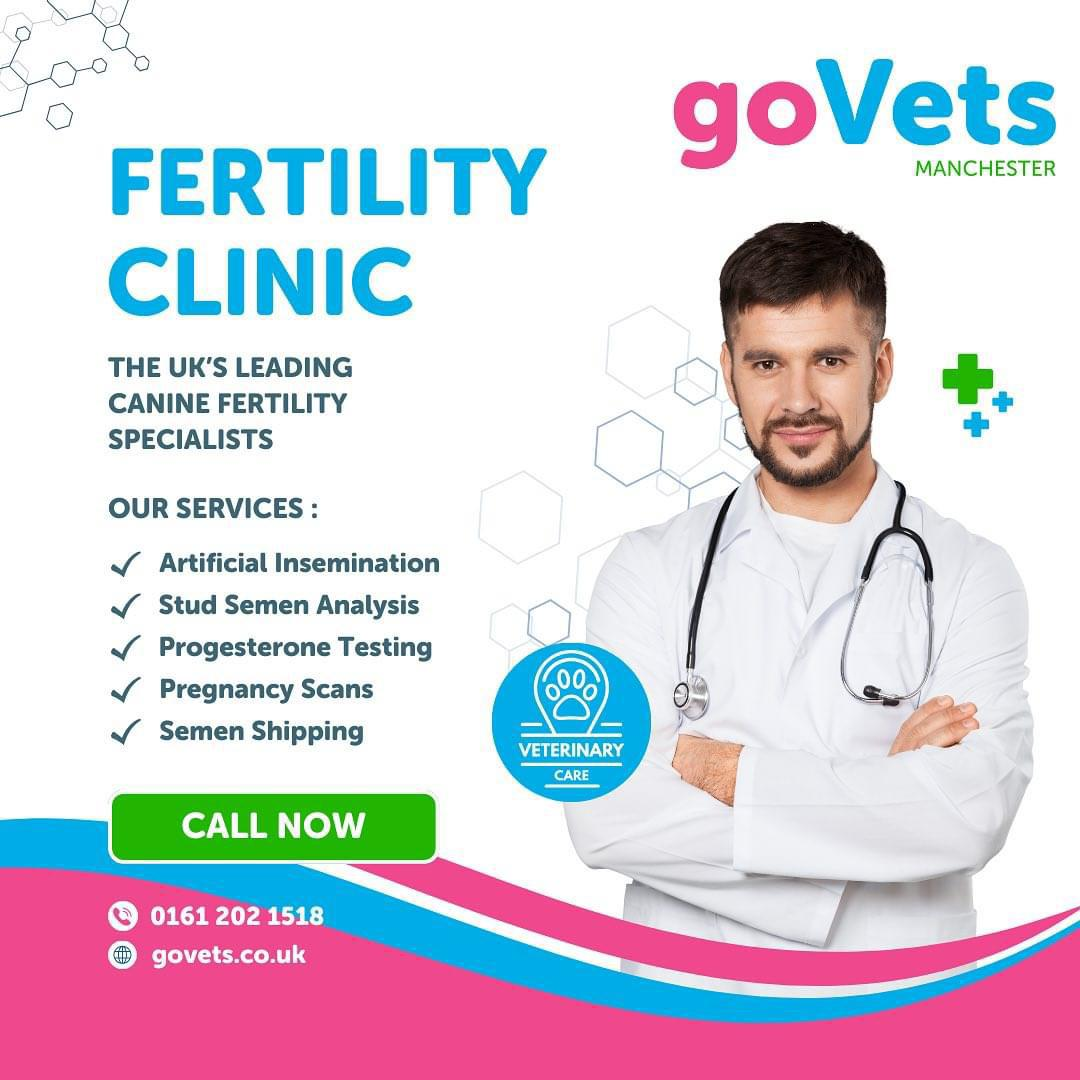Canine Fertility Services | GoVets