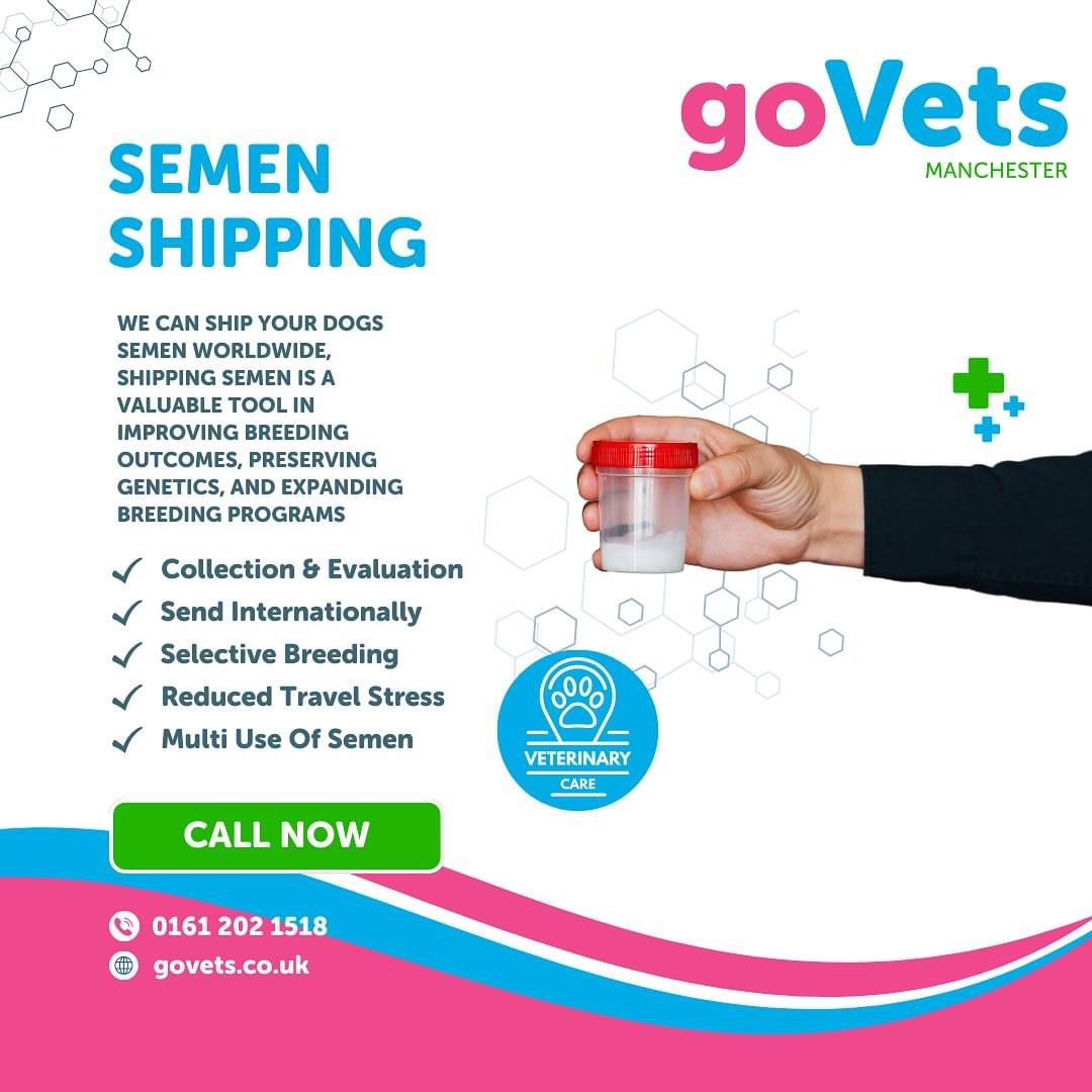 Canine Fertility Services | GoVets