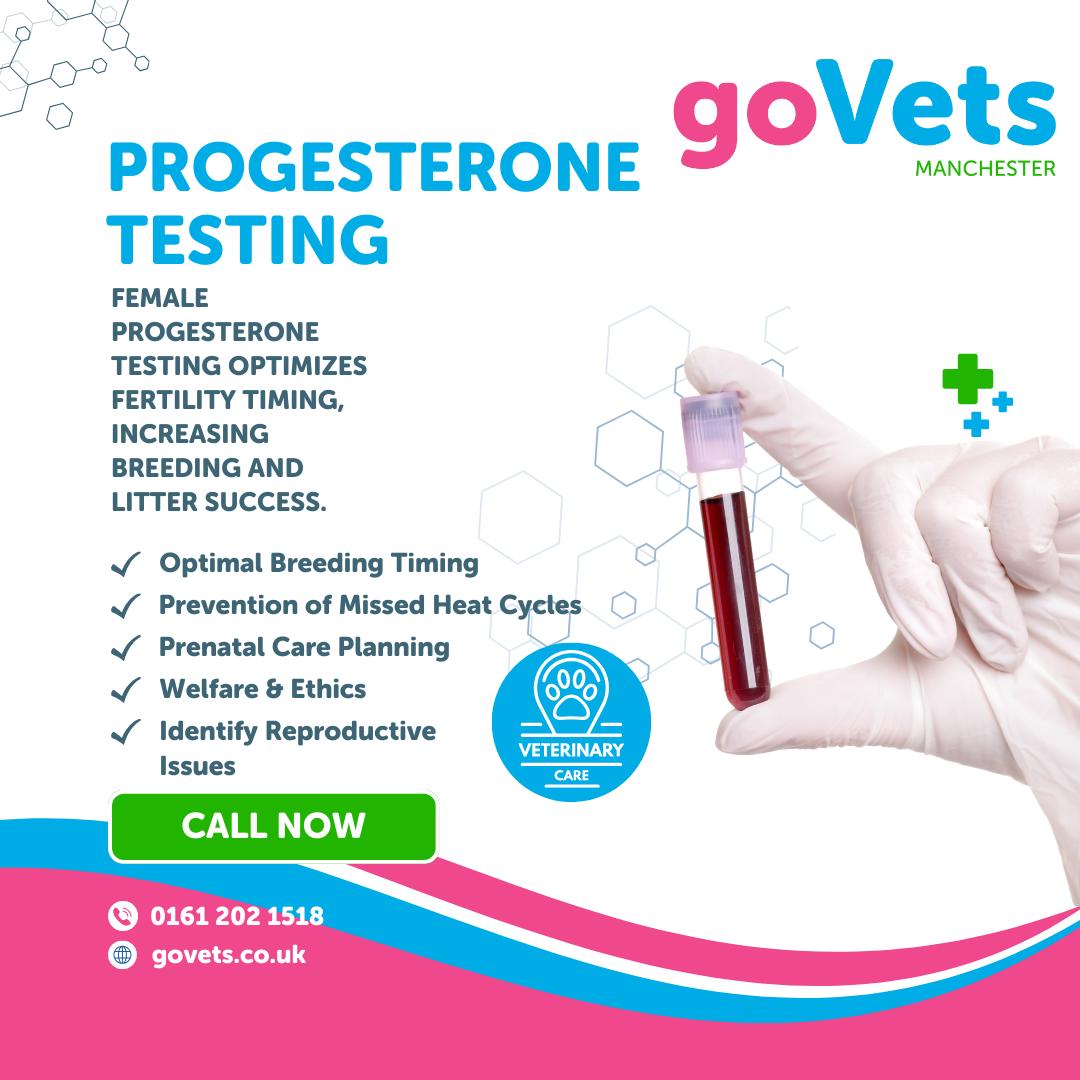 Canine Fertility Services | GoVets