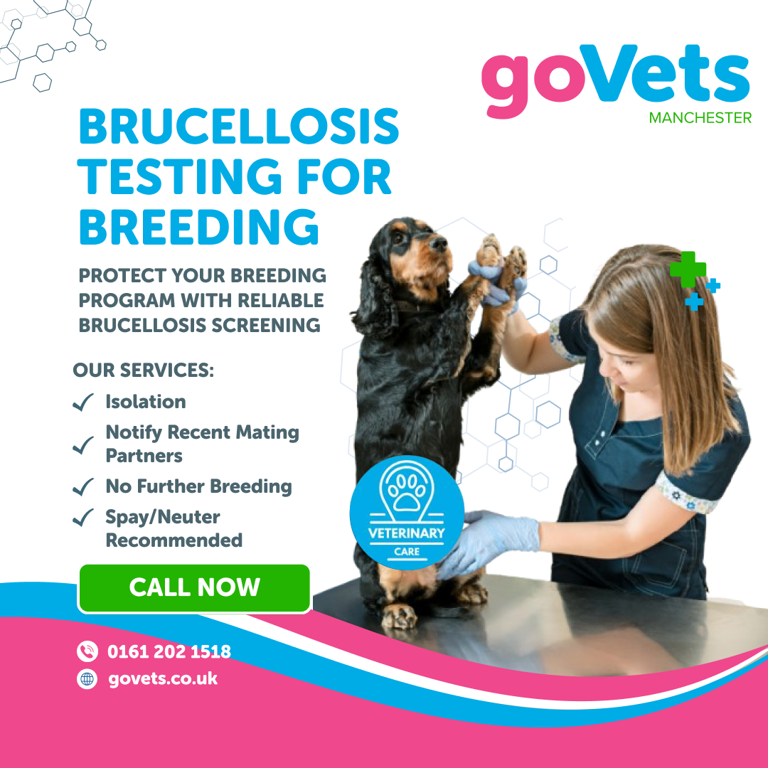 Canine Fertility Services | GoVets