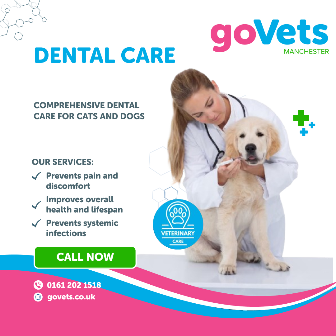 Clinical Services