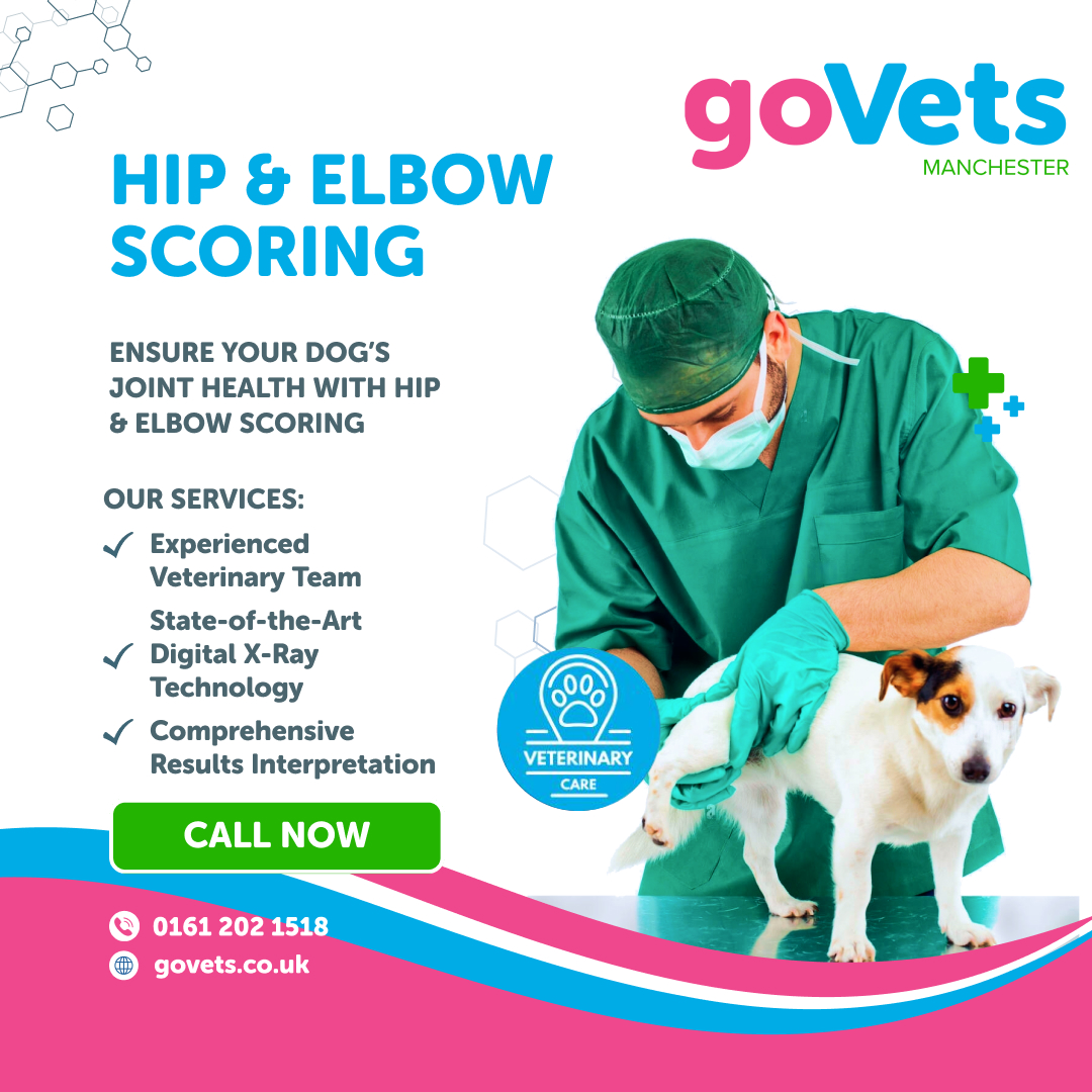 Clinical Services