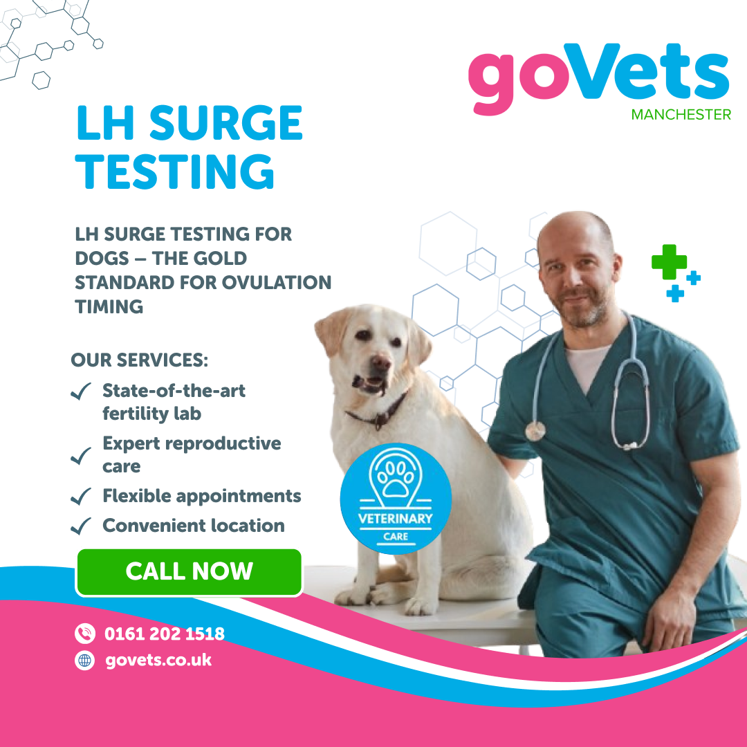 Canine Fertility Services | GoVets