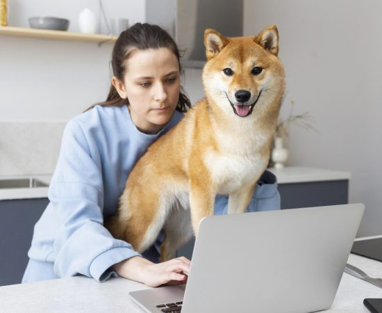 Vet For Pets