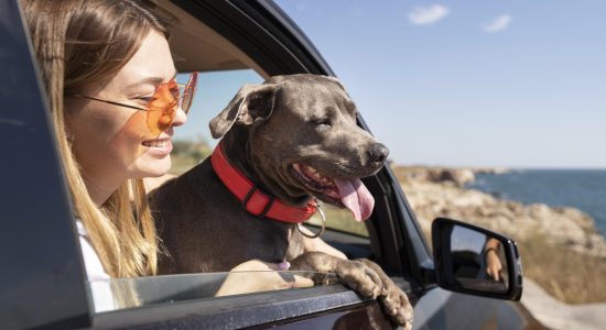 side-view-young-woman-dog-going-trip