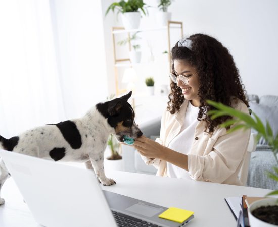 Vet For Pets